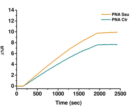 Figure 22.  Time-dependent SPRI curves showing the nanoparticle-enhanced SPRI detection of Target 