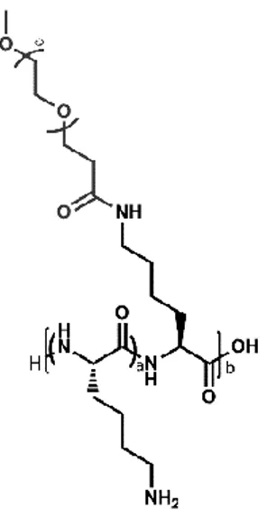Figure  19.  Example  of  the  molecular  structure  of  PLL  grafted  with  PEG  (PLL–g–PEG)