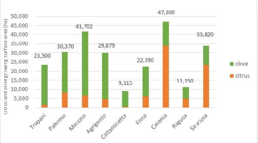 Figure 3. Surface areas of citrus and olive orchards within Sicily.  2.2  Estimation of citrus pulp and olive pomace 