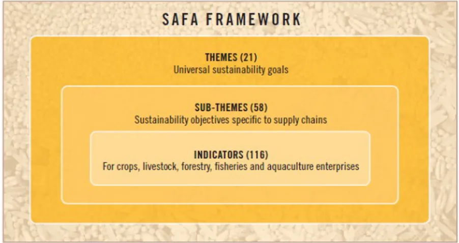 Figure 3: SAFA framework (Source SAFA Guidelines 3.0, 