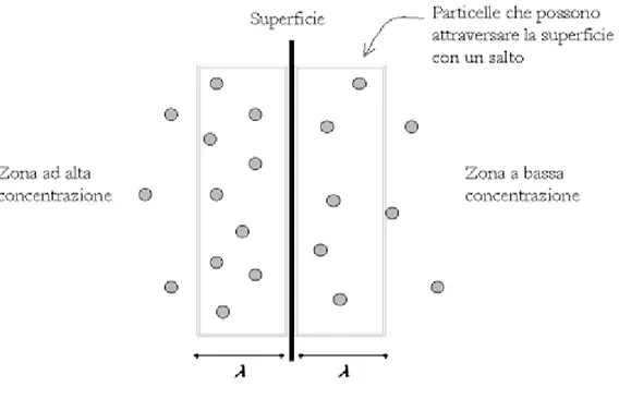 Figura 3.2: Moto browniano delle particelle.