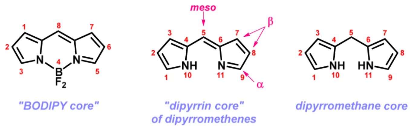Figure 1.7 BODIPY, di-pyrromethene and di-pyrromethane IUPAC numbering system 