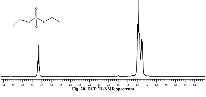 Fig. 20. DCP  1 H-NMR spectrum 