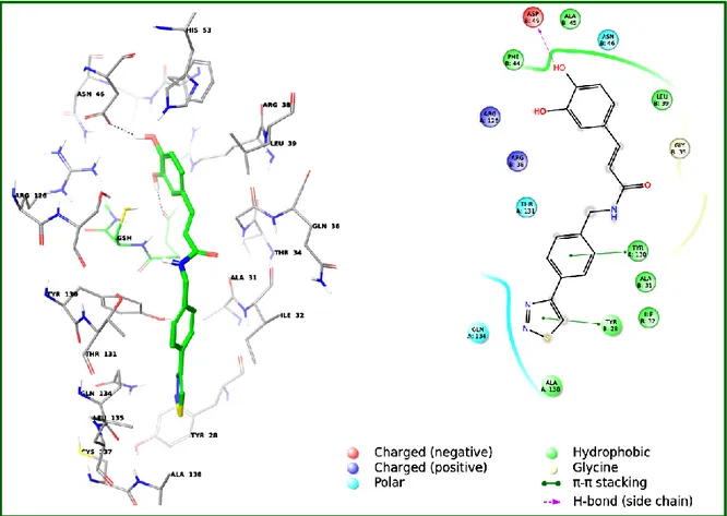 Figure  18: Binding site model of mPGES-1 with compound 122. a) 3D model of interaction of 122 