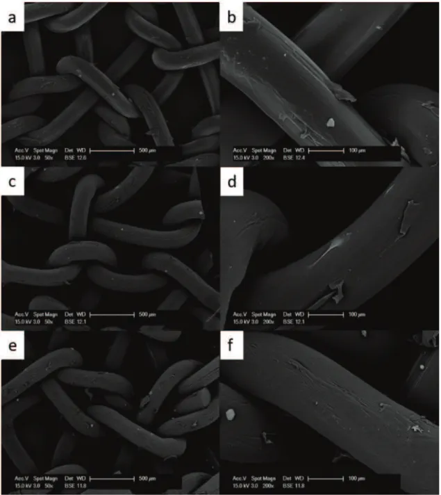 Fig.  3 Growth of primary fibroblasts on the Prolene mesh analysed at the SEM at 50x (left side) and 200x magnification (right side)  at 10 (a,b), 20 (c,d) and 30 days (e,f)