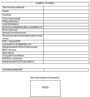 Fig. 17. Modello di scheda su cui sono stati trasferiti  i dati relativi   ai campioni analizzati
