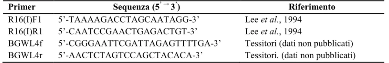 Tabella 3. Sequenze di primer specifici per il Gruppo 16SrXII e Gruppo 16SrXIV  