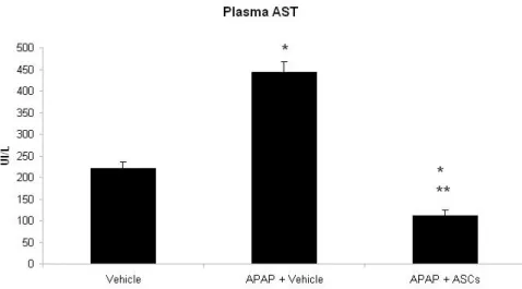 FIGURE 1. AST levels 