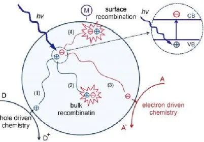 Fig. 1.2 Processes of photoelectron-hole recombination in the semiconductor particles