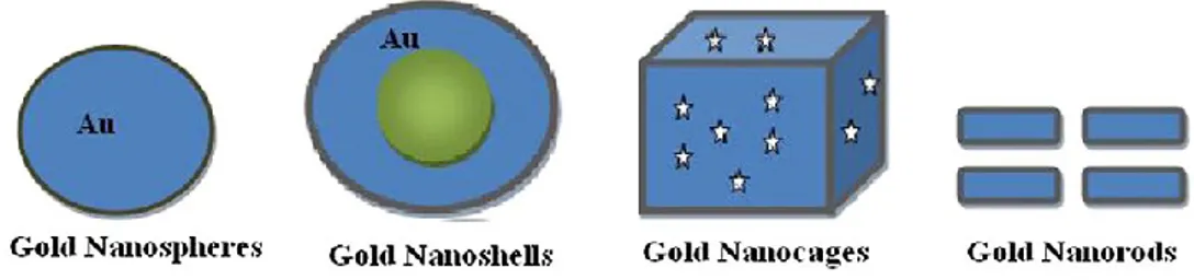 Fig. 5. Different types of gold NPs with their shapes (from Khan et al., 2013). 