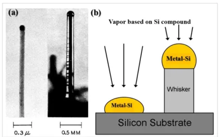 Fig. 1. (a) Si whiskers synthesized via VLS mechanisms, firstly reported by Wagner and Ellis