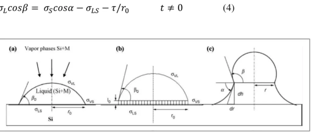 Fig.  3.  (a)  Condition  at  t=0;  (b)  early  stage  of  SiNW  growth,  where  the  first  Si  crystalline 