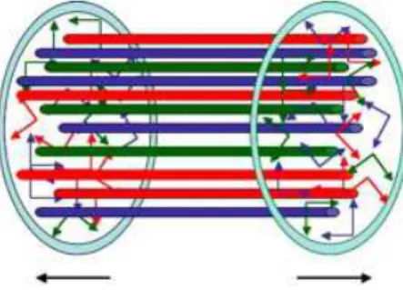 Figure 1.14: Color electric and color magnetic fields after the collision of the two