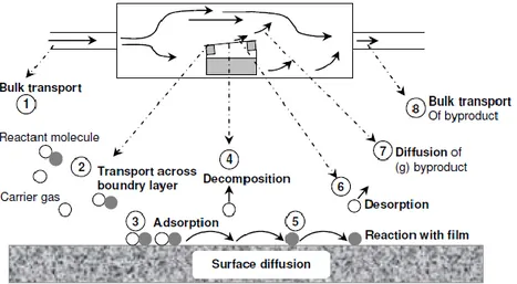 Figure 8. Schematic of the fundamental steps involved during chemical vapor deposition  [50]
