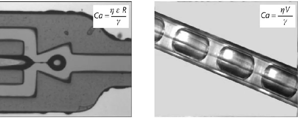 Figure  1.3  (a)  Capillary  number  for  an  elongating  liquid  thread  in  a  flow  focusing  device  (FFD) and (b) capillary number for plug flow in a tube
