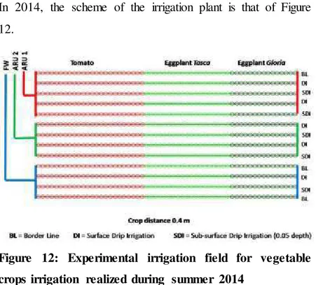 Figure  12:  Experimental  irrigation  field  for  vegetable  crops irrigation  realized  during  summer  2014 