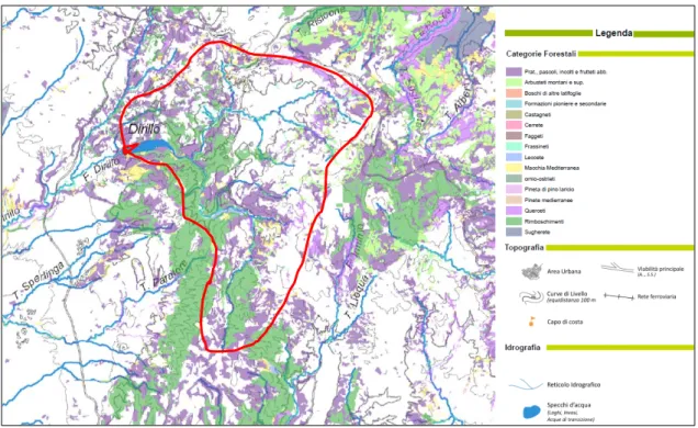 Figura 3.12 Carta delle Categorie Forestali. In rosso evidenziata l’area del bacino Ragoleto