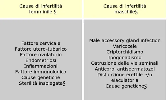 Tabella 1. Principali cause di infertilità 