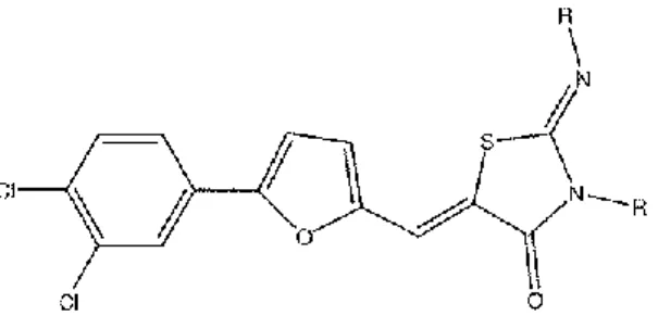 Figura 5. 2-(ptolil-imino)-3-(4-tolil) -5-[5-(3,4-diclorofenil)-2-furilidene]-4-tiazolidinone 