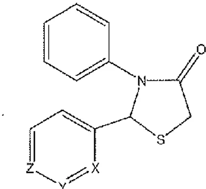 Figura 7. Derivati 2,3 disostituiti del 1,3 tiazolidin-4-one 