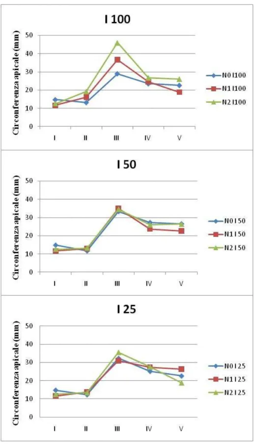Fig.  4  Andamento  della  circonferenza  apicale  della  coltura  per  ogni  livello  di  restituzione  idrica  nei  cinque  anni  di  coltivazione  in  funzione  delle  concimazione  azotata 