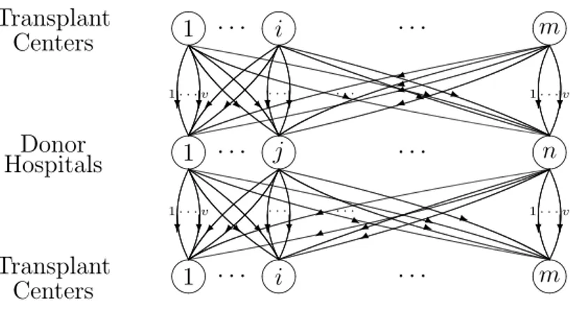 Figure 3.3: Organ transport network
