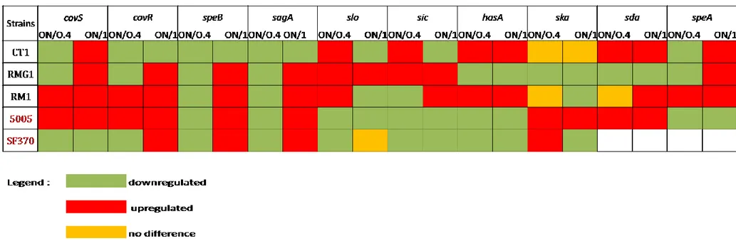 Tab. 4: Analysis of GAS in vitro transcript levels. Aliquots were removed for RNA extraction at equivalent OD600 values: 0.4; 1.0 and O/N