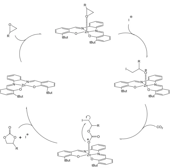 Figure 1.1 Representation of the catalytic cycle proposed in the synthesis of cyclic carbonate