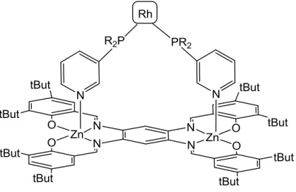 Figure 1.11 Structure of the template 9 coordinated with two generic mono pyridyl phosphorous ligands  and a rhodium complex