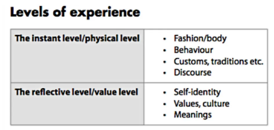 Table 1: The Two Levels of Experience.