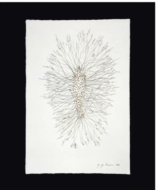 Fig. 9 – Giuseppe Penone, Pelle di foglie – 151 nomi di alberi, 1999, china su carta, Amiens, Collezione FRAC Picardie.