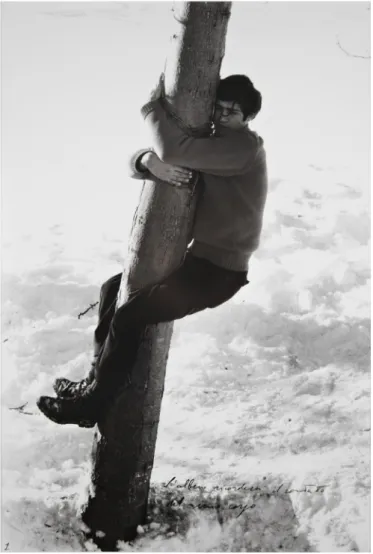 Fig. 3 – Giuseppe Penone, Alpi Marittime. L’albero ricorderà il contatto, 16-20 dicembre 1968, azione dell’artista, chiodi, filo di ferro, albero, Bosco sulle Alpi Marittime.