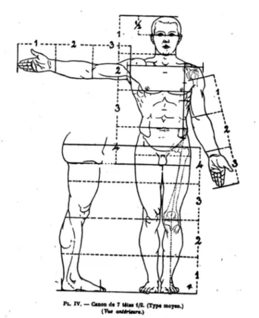 Fig. 7 – Illustrazione tratta da Paul Richer, Canon des proportions du corps humain, 1893, Delagrave, Paris.