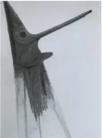 Fig. 2 – V. Venturi, Pinocchio che fa linguaccia, 1959, colori a  cera su carta, Loro Ciuffenna (AR), Museo Venturino Venturi 