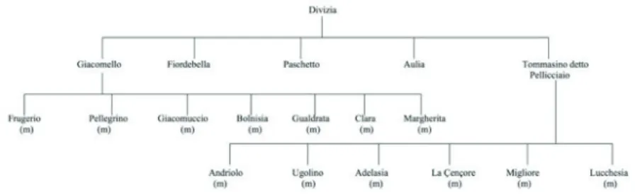Fig. 3 - Ricostruzione dell'albero genealogico relativo alla famiglia con  capostipite Divizia, presente all'interno del quartiere di Porta Procola  nel Liber Paradisus