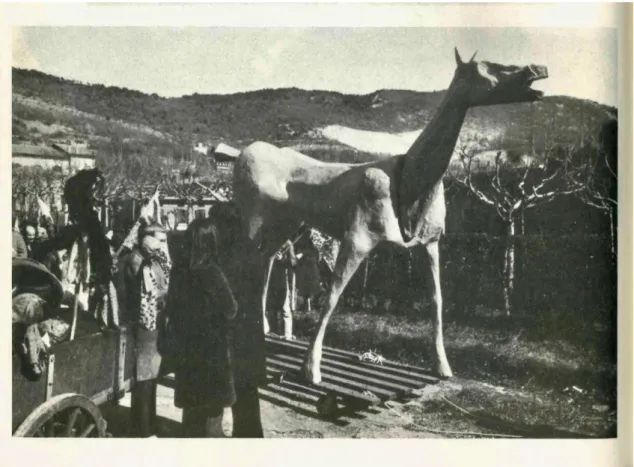 Fig. 1: Marco Cavallo nella locandina dell’uscita dal San Giovanni di Trieste nel 1973