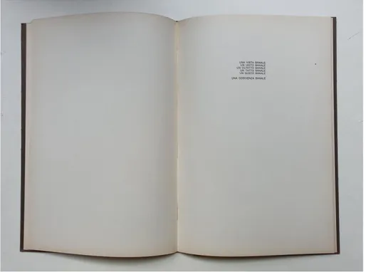 Fig. 5 – Vincenzo Ferrari, Progetto per una coscienza banale, 1971, Courtesy Galleria Milano 