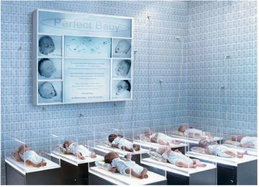 Fig. 6 Rachel Lee Hovnanian, Perfect Baby Showroom, 2014