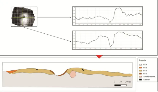 Fig. 4. Profilo O-E (in alto) e N-S (in basso) estrapolati dal DEM e sezione stratigrafica del profilo N-S