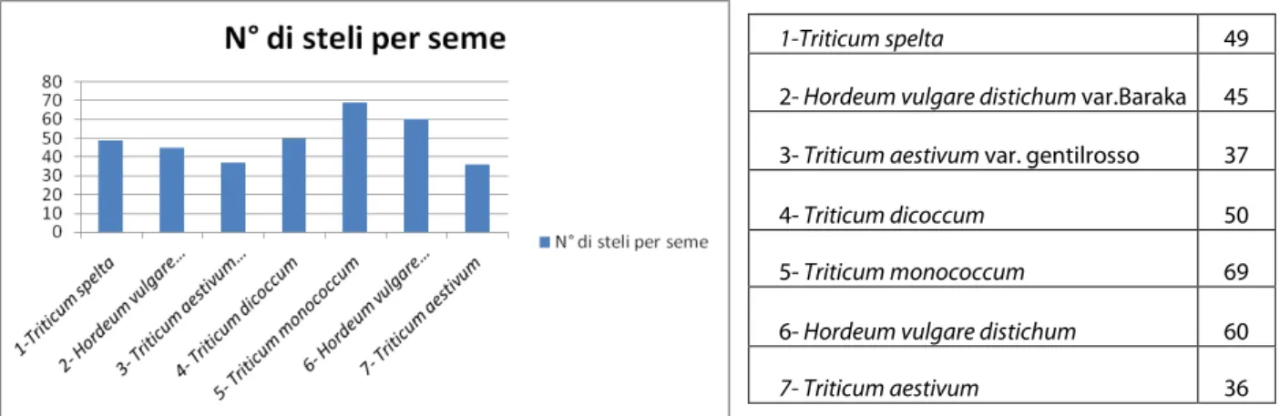 Tabella 3. N° di steli per seme (mediana delle file da 1 a 5) 