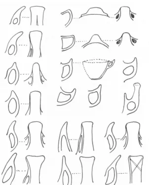 Fig. 4. Tipologie di anse con varie sopraelevazioni tra cui le appendici ad ascia dal Farneto (BO)