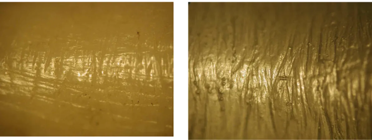 Fig. 5.1 Immagine a luce riflessa.  Fig. 52. Immagine a luce trasmessa.  Microscopio elettronico a scansione (SEM) 