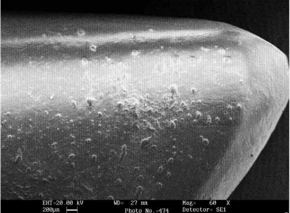 Fig. 80.  Foto al microscopio metallografico 20x punteruolo su tibia di Ovis/Capra: AP2a3ai,  punta prossimale.