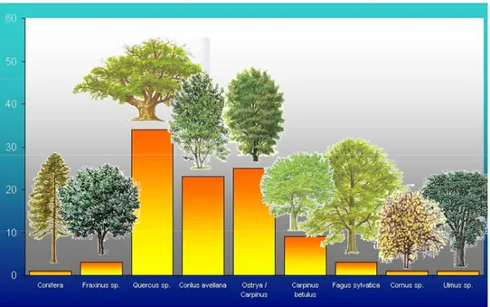 Fig. 10 – Consuma 1: frequenza assoluta delle specie legnose nei carboni (da Castelletti et al