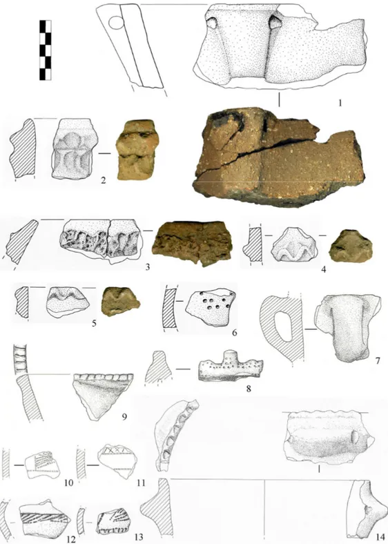 Fig. 11 – Ceramica eneolitica e campaniforme: n.1 Molino del Magni; nn. 2-6 Gragnano II; nn