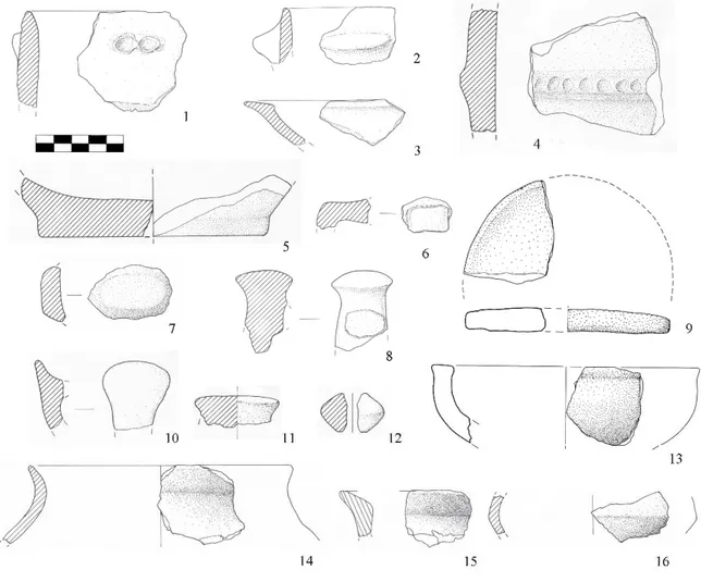 Fig. 12 – Ceramica dell’antica età del Bronzo: nn. 1-8, 10-12 Il Mancino; n. 9 Molino del Magni; n.13 Migliara; nn