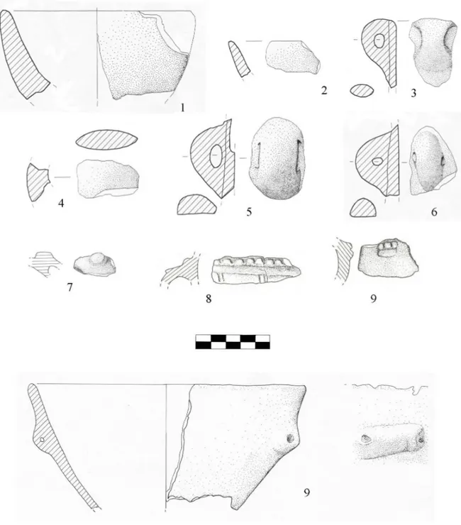 Fig. 8 – Ceramica neolitica: nn. 1-6 Prati Alti; n. 7 Consuma 3; nn.8, 9 Consuma 2; nn