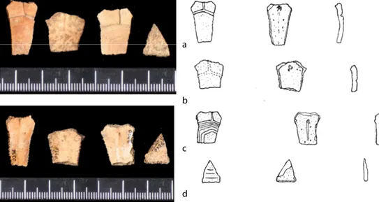 Fig. 3.9. Frammenti di placche plurali. a) RMD 05 0345 frammento inferiore 4° pleurale destra; b) RMD 05 0346 frammento  inferiore 4° pleurale sinistra ; c) RMD 04 0183 frammento inferiore pleurale destra