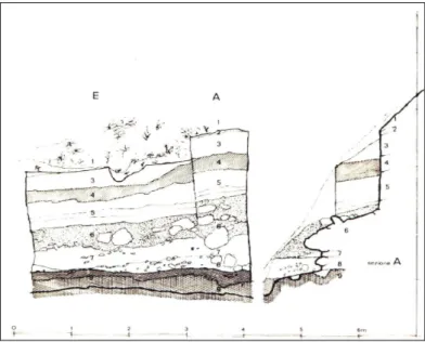 Fig. 1.7. – Avella (Mulino Sant’Antonio). Sito CL1 (area A-5): prospetto stratigrafico e sezione A