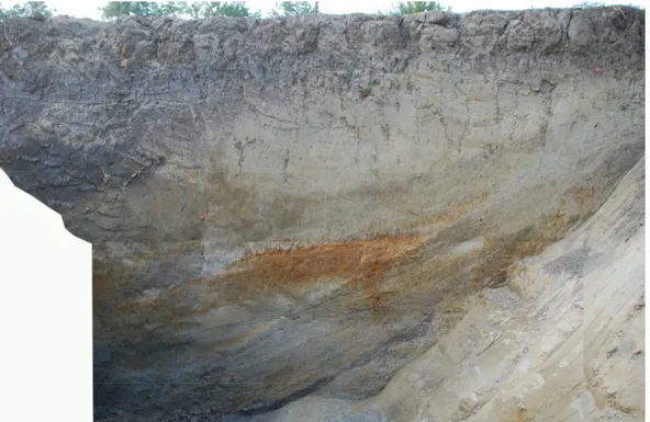 Fig. 7. Solarolo, settore 1 scavo 2008. Sezione con strati di riempimento del canale-fossato lungo la sponda nord 